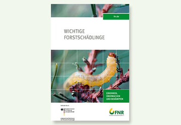 Die Broschre Wichtige Forstschdlinge liegt in der Mediathek der FNR zum Bestellen und zum Download bereit.