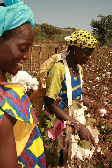 Das Fairtrade-Baumwoll-Programm untersttzt unter anderem durch feste Mindestpreise Kleinbauern, die Baumwolle nachhaltig produzieren, indem sie etwa auf genmanipuliertes Saatgut und knstliche Bewsserung verzichteten und den Einsatz von Chemikalien restriktiv handhaben.