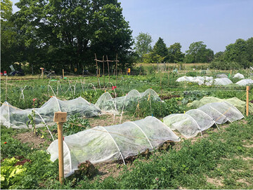 Krautgarten Gut Riem in Mnchen.