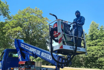 Sauger von Husqvarna zur Bekmpfung des Eichenprozessionsspinners