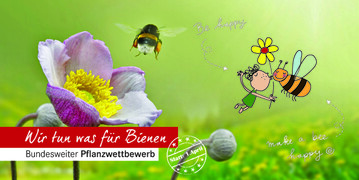 Jetzt ein Zeichen gegen das Insektensterben setzen! 