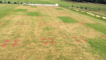 STRI Versuchsflche (UK) 2022