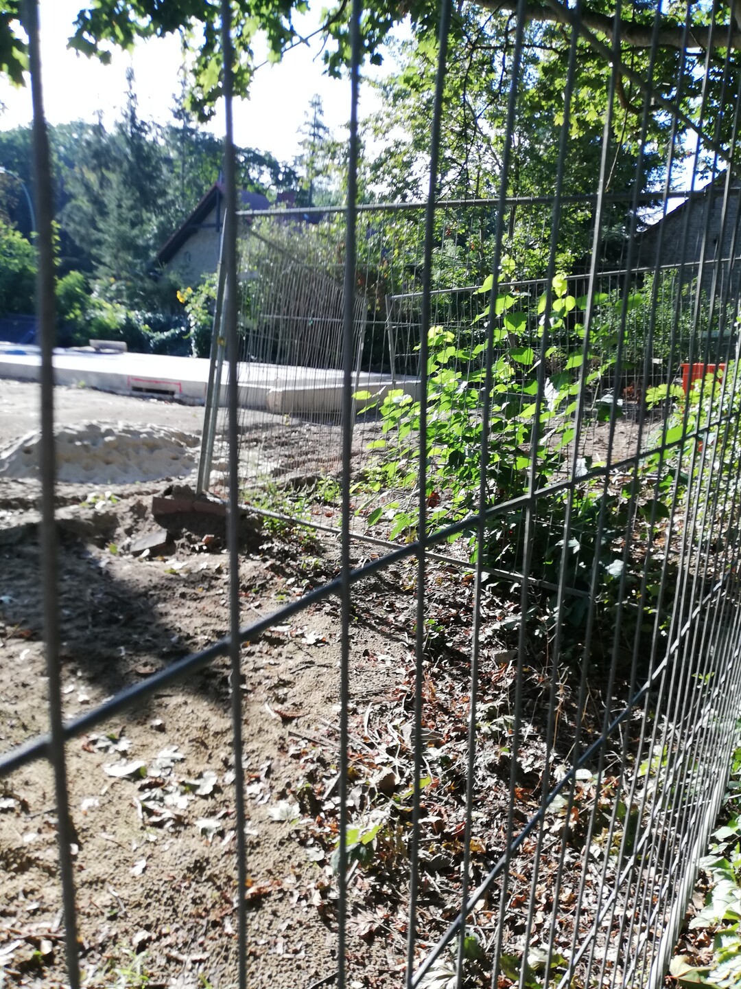 Neubau im Grnen