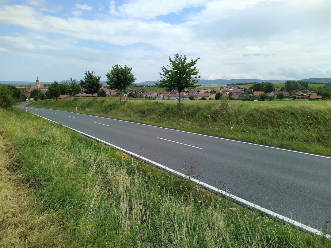 Auch im Straen- und Wegebegleitgrn gibt es Mglichkeiten zur extensiven und schonenden Mahd. Hier extensiv gemhtes Straenbegleitgrn an einer Strae bei Wiesenbronn in Unterfranken.