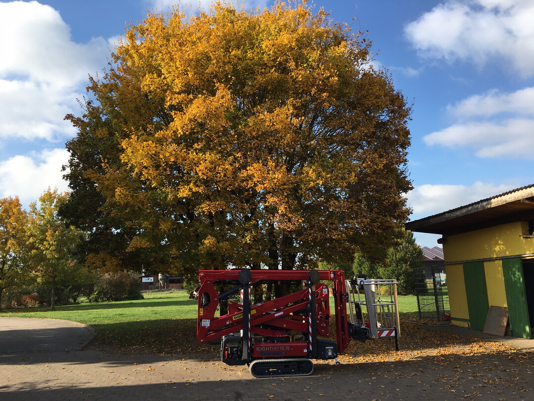 Mit den HINOWA Raupen-Arbeitsbühnen unterstützt Dorn Lift Ihre Herbstprojekte.