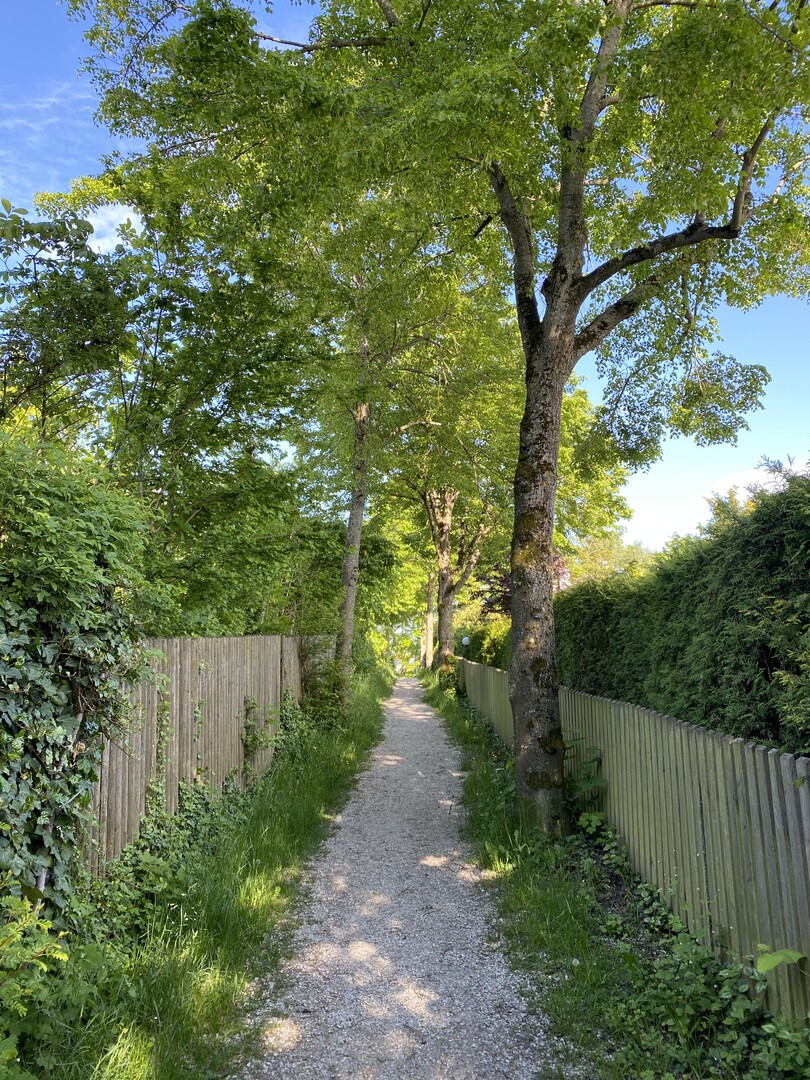 Nicht jeder Weg muss asphaltiert sein. Dieser Fussweg im Siedlungsbereich braucht kaum Pflege und entfaltet - auch dank der Holzzune - eine besondere Atmosphre.