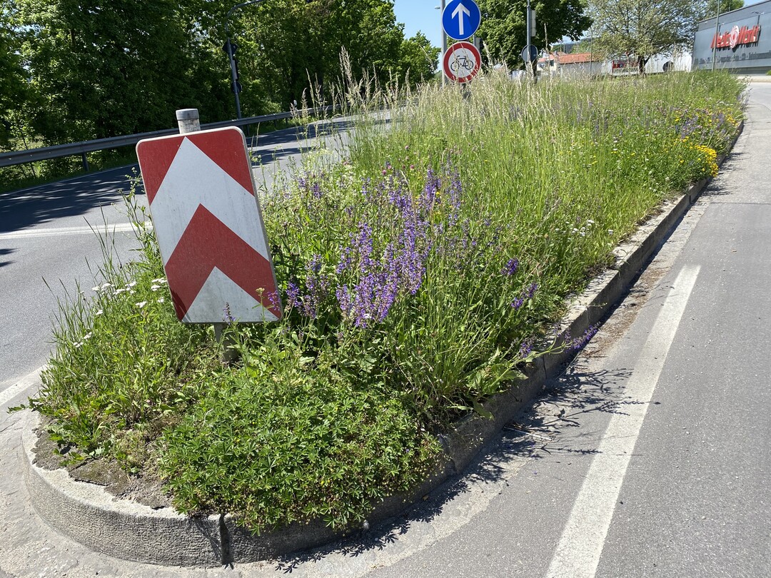 Optimales Substrat (z.B. "Wandkies") vorausgesetzt, knnen aus Verkehrsinseln bunte Magerwiesen oder Staudenpflanzungen werden.