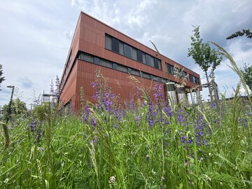 Viele extensiv genutzten Flchen knnen zu Magerrasen entwickelt werden. Das spart nicht nur Pflegearbeit und damit Kraftstoff, sondern wirkt zustzlich dem Artenschwund entgegen; ein bis zwei Mahten pro Jahr und das Abrumen des Mhgutes als Landschaftspflegematerial reichen.