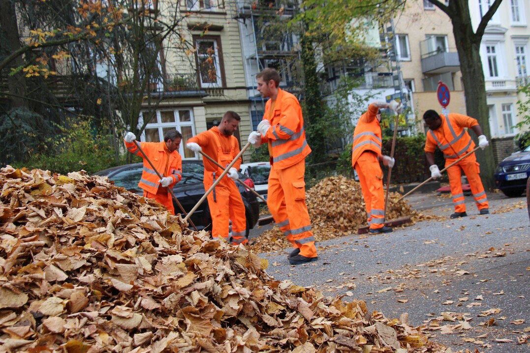 In Städten fallen jährlich tausende Tonnen Laub an, die zur Kompostierung oder zur Erzeugung von Biogas genutzt werden können.