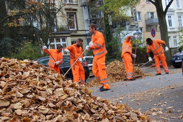 In Stdten fallen jhrlich tausende Tonnen Laub an, die zur Kompostierung oder zur Erzeugung von Biogas genutzt werden knnen.