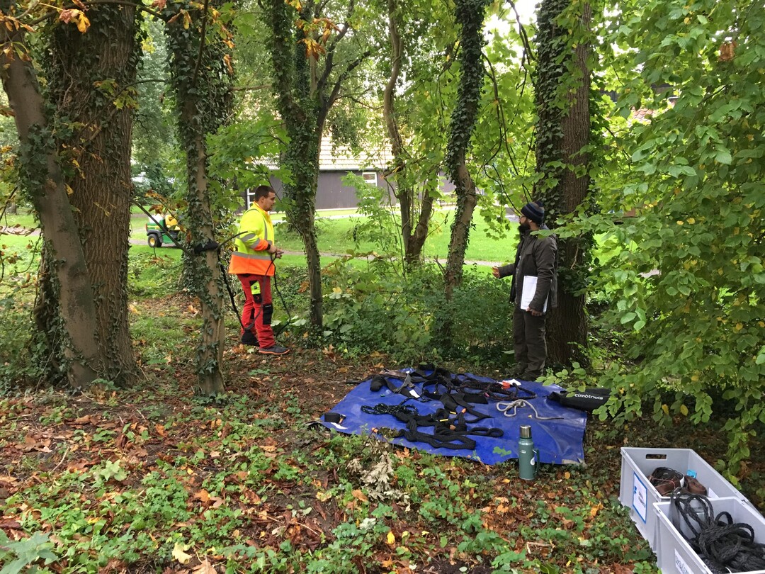 Insgesamt 17 Teilnehmer/innen nahmen am zweiten Prüfungsdurchlauf „Fachagrarwirt/in Baumpflege und Baumsanierung“ in NRW teil.