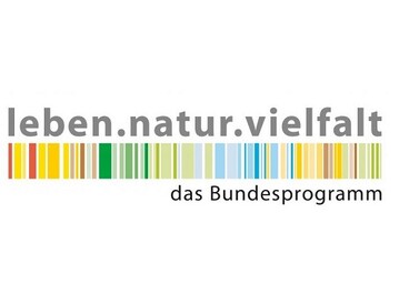 Neuer Frderschwerpunkt Stadtnatur im Bundesprogramm Biologische Vielfalt 