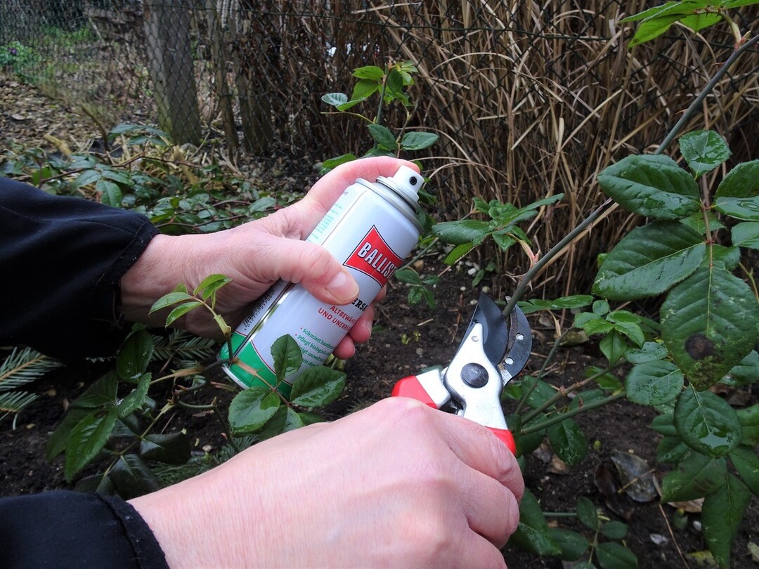 Anwendung im Garten