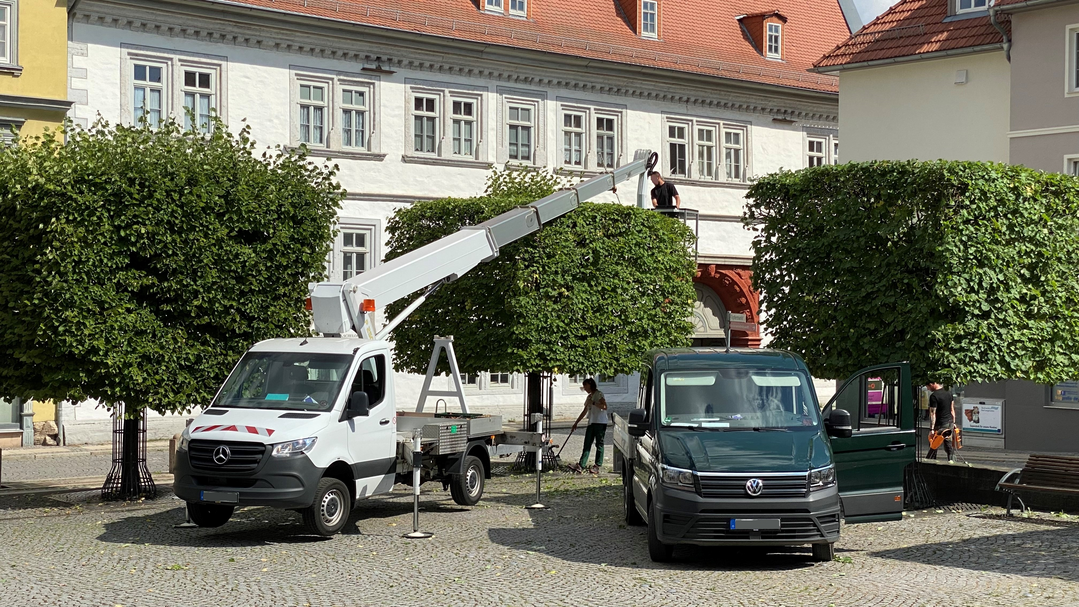 Beim Formschnitt auf dem Tpfermarkt in Bad Langensalza mit der Palfinger Hubarbeitsbhnen P 250 BK