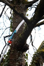 Sogar wenn in das eigene Grundstück überhängende Starkäste an einem Baum nicht zurückgeschnitten werden, darf der Nachbar selbst zur Säge greifen - auch wenn die Standfestigkeit des Gehölzes beeinträchtigt werden kann.