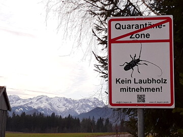 In Bayern konnten ab 2021 mehrere ALB-Quarantnezonen aufgehoben werden.