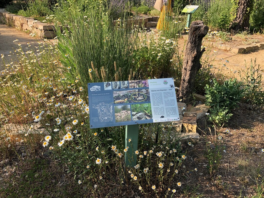 Prmierter naturnaher Schollenhof