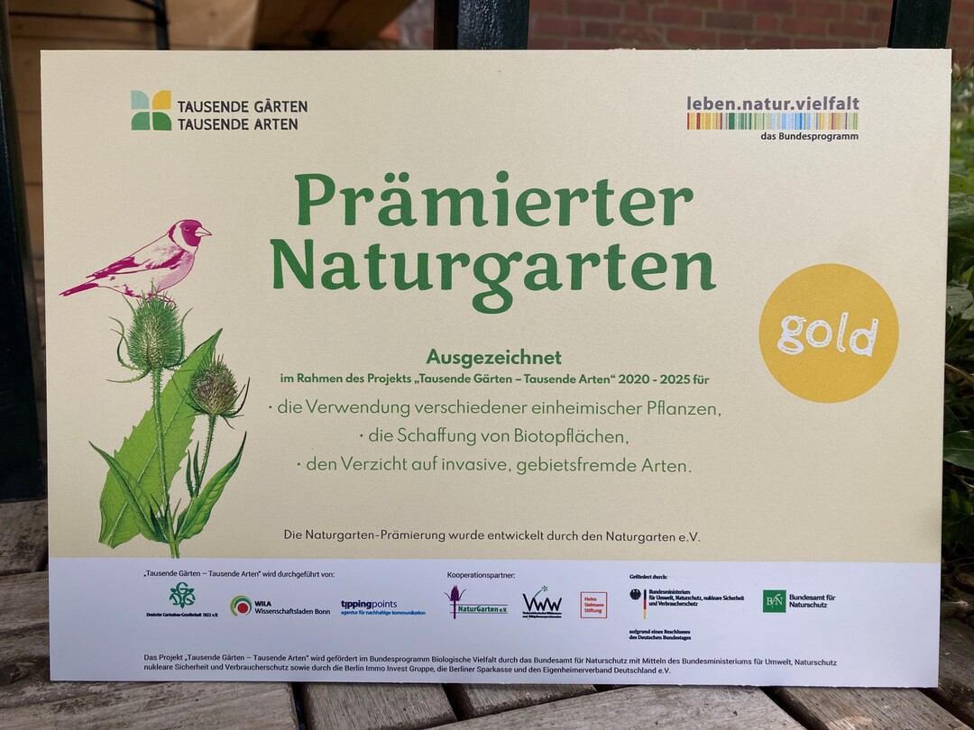 Gold-Plakette