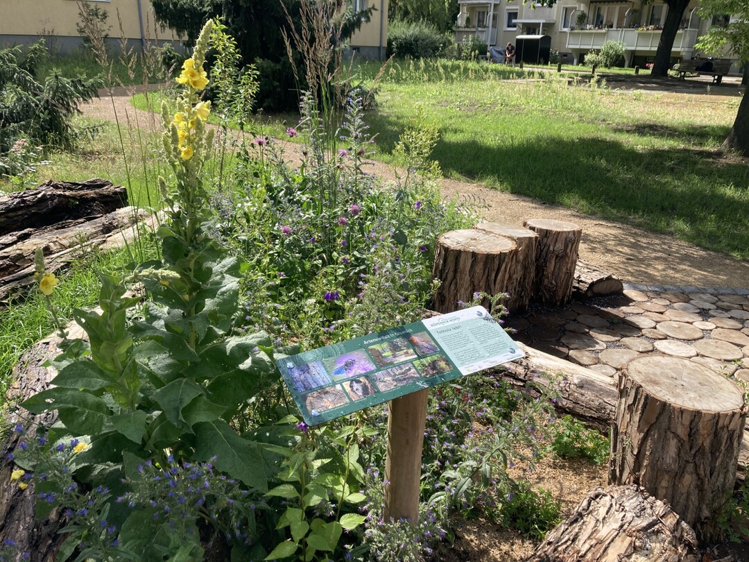 Köpenick: Farbige Infotafeln informieren fortan neugiere BesucherInnen über die neuen naturnahen Lebensräume.