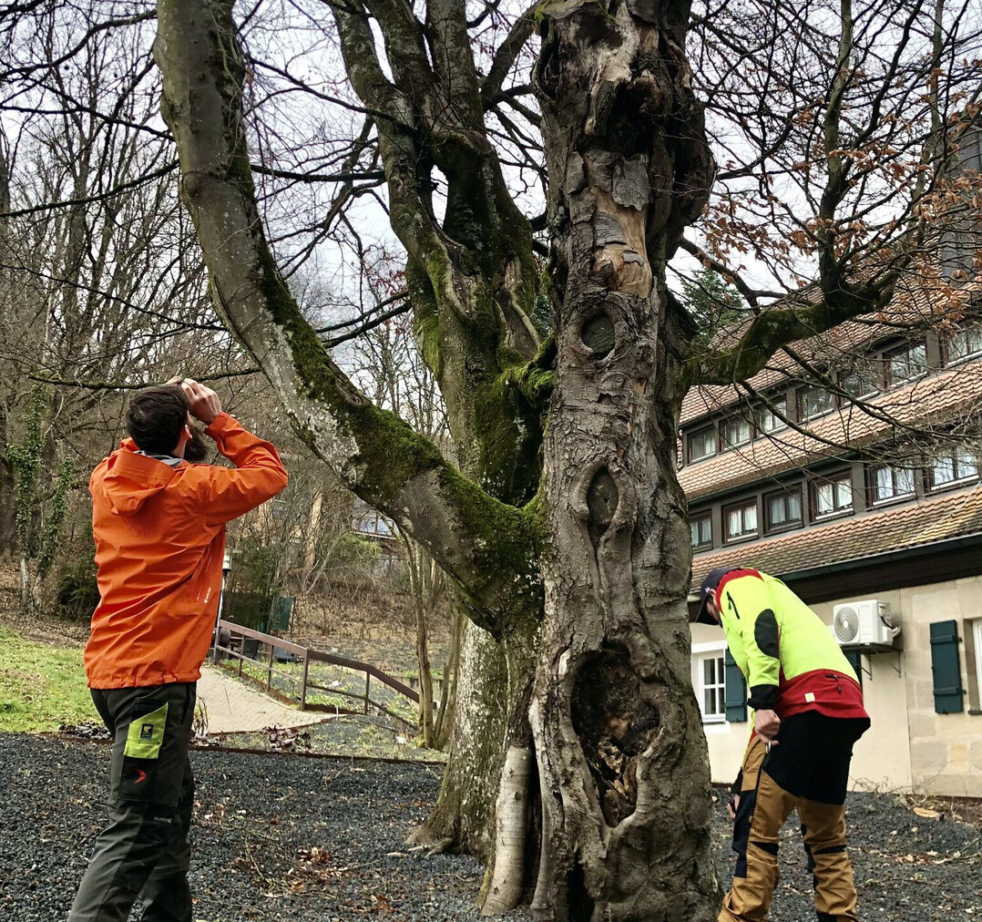 Praxis wird in der Nürnberger Schule groß geschrieben.