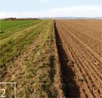 2 Ausgeräumte Landschaft: ein gemulchter und überpflügter Grasweg