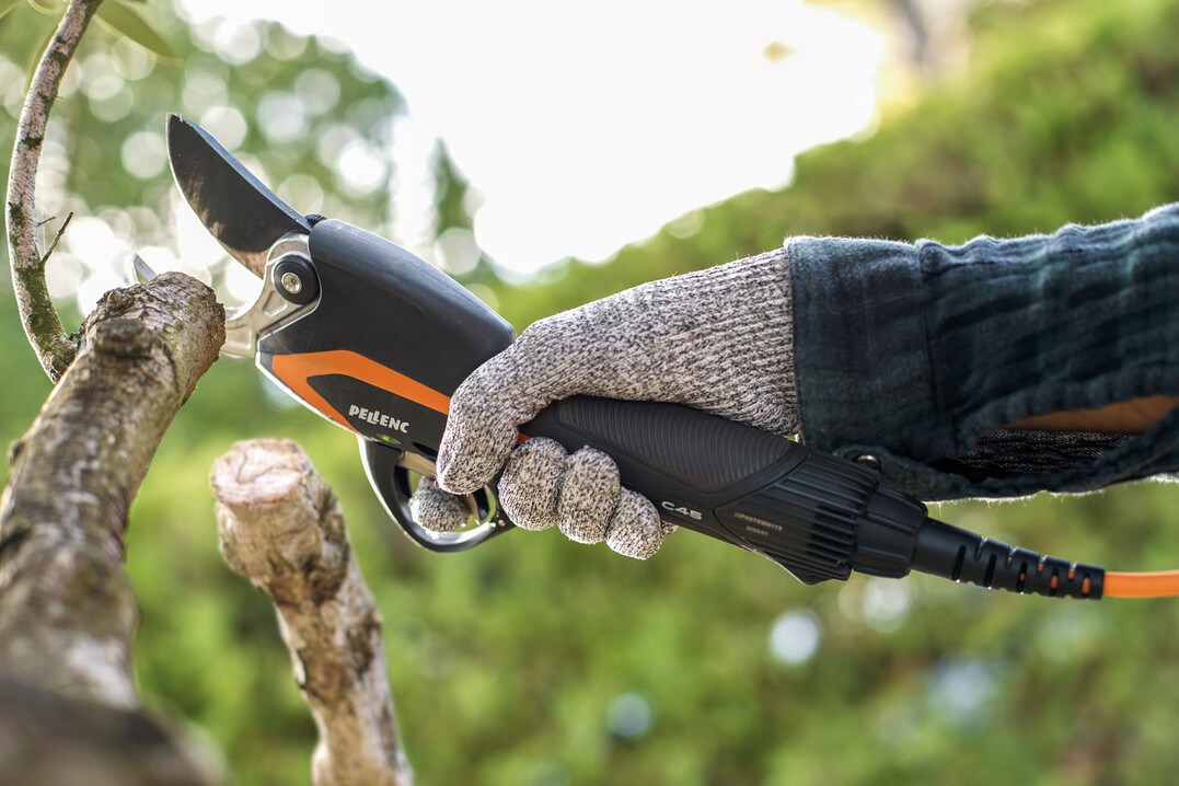 Ergonomisch, effizient, sicher und robust: die neue Pellenc Akku-Astschere C45
