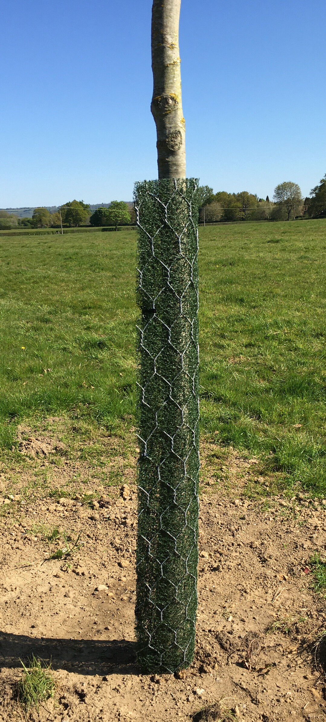 Baumschutz mit Plati-Guard