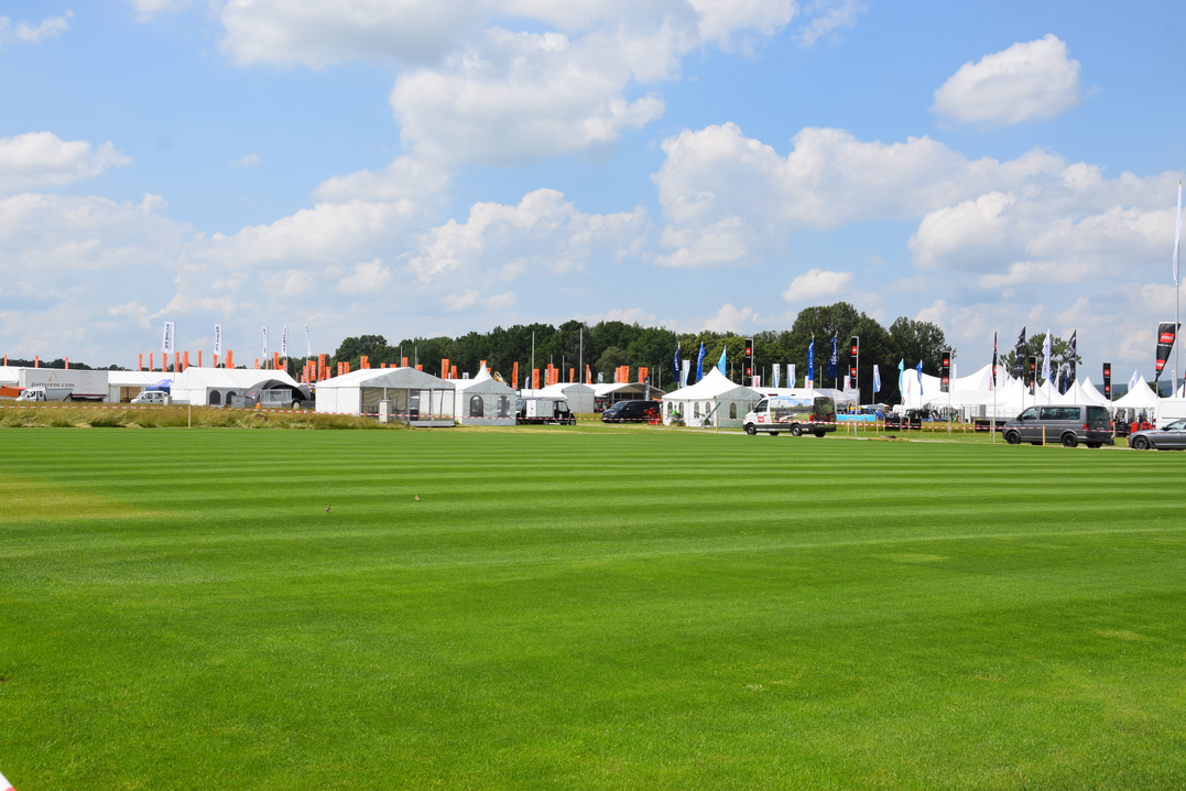 Rasenfläche bei der Sortenschau auf der demopark 2019