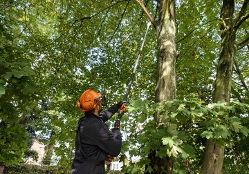 Dank seines besonders fhrungssteifen Teleskop-Schafts sind mit dem Akku-Hoch-Entaster STIHL HTA 135 auch ste in luftiger Hhe in Reichweite des Anwenders. Die Gesamtlnge des Gerts lsst sich werkzeuglos zwischen 285 und 405 Zentimetern verstellen. 