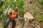 Die neue STIHL MS 881 überzeugt mit enormer Kraft bei gleichzeitiger Einhaltung der Euro-5-Abgasnorm