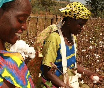 Das Fairtrade-Baumwoll-Programm untersttzt unter anderem durch feste Mindestpreise Kleinbauern, die Baumwolle nachhaltig produzieren, indem sie etwa auf genmanipuliertes Saatgut und knstliche Bewsserung verzichtet und den Einsatz von Chemikalien restriktiv handhaben.