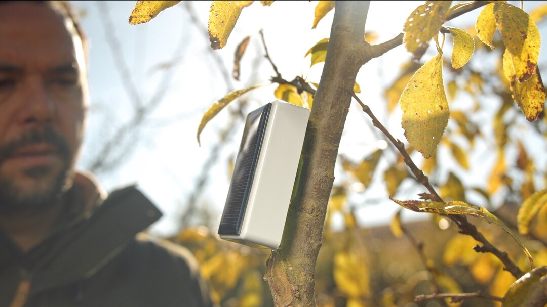 „Treesense Pulse“ im Einsatz (im Hintergrund: Entwickler Giancarlo Foderá)