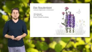 Impression von der Online-Schulung