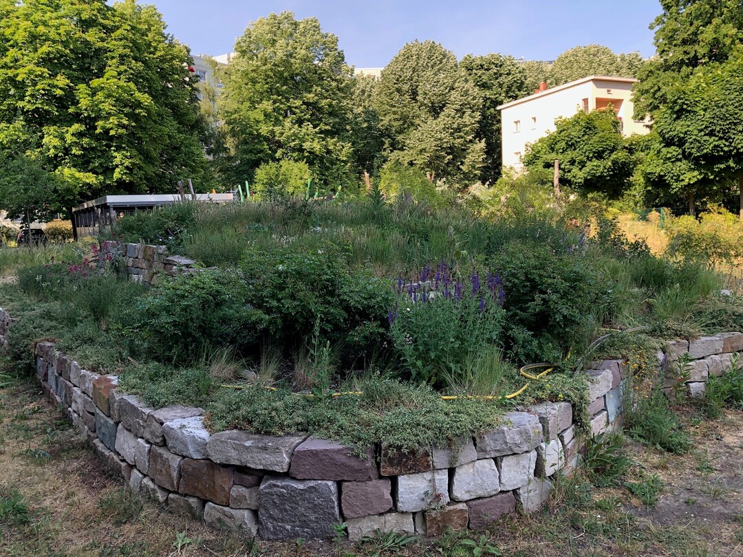 Prmierter Naturgarten in der General-Barby-Strae