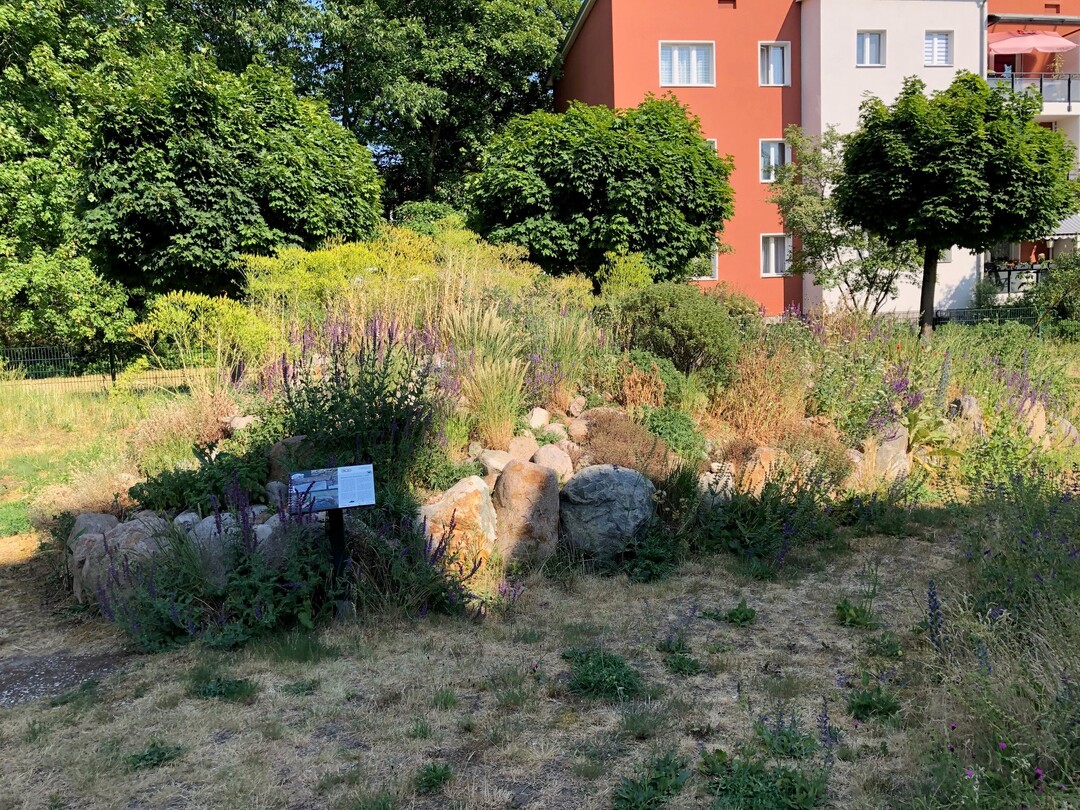 Prmierter Naturgarten in der General-Barby-Strae