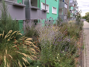 Die Wohnungsbaugesellschaft WBG erhlt in diesem Jahr den Umweltpreis 
der Stadt. Die feierliche berreichung durch Umweltdezernentin Waltraud 
Blarr fand im Mieterbro der WBG statt.
