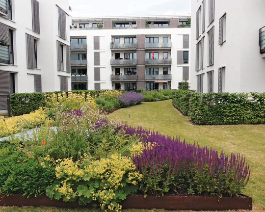 Hier schaut man gern aus dem Fenster: Diese attraktive und pflegeleichte Bepflanzung im Windausweg in Gttingen (Stdtische Wohnungsbau, Volksheimsttte, Wohnungsgenossenschaft Gttingen) wurde von Johanna Sievers geplant. Bau und Pflege bernahmen die Grewe Grnflchenservice Hannover GmbH und die Landschaftsbau Mhlhausen GmbH.