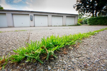 Unkrautvernichter drfen nur auf grtnerisch genutzten Flchen im Hausgarten angewendet werden. Generell verboten ist der Einsatz hingegen auf Garagenzufahrten (Foto), Wegen, Brgersteigen, Terrassen, Straen, Parkpltzen und Hofflchen. Dies gilt nicht nur fr Pflanzenschutzmittel, die zur Unkrautvernichtung zugelassen sind, sondern auch fr Salz, Grnbelagsentferner und Steinreiniger.