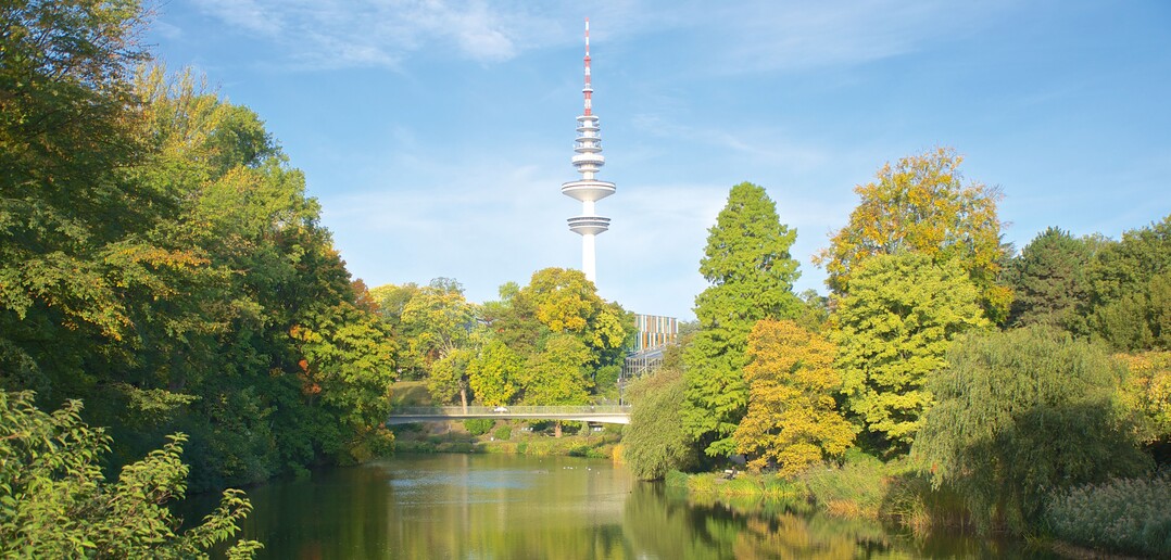 Städtischer Wald in Hamburg – beim Master „Urbanes Baum- und Waldmanagement“ geht es um Erholungs- und Schutzfunktionen