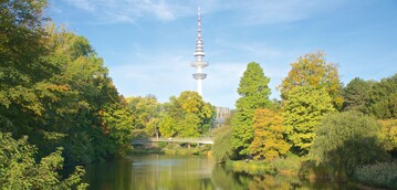 Stdtischer Wald in Hamburg  beim Master Urbanes Baum- und Waldmanagement geht es um Erholungs- und Schutzfunktionen