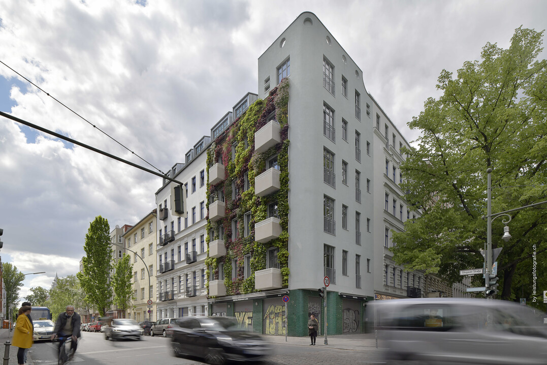 Wohnhaus mit Fassadenbegrnung in Berlin