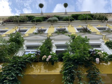 Fassadenbegrnung in der Hannovergasse in Wien von 90deGREEN. 
